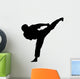 Karate Wall Decal