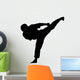 Karate Wall Decal