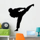 Karate Wall Decal
