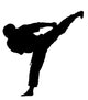 Karate Wall Decal 2
