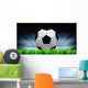 soccer field and the bright lights Wall Mural