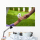 Child's hand giving flowers to her friend Wall Mural