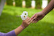 Child's Hand Giving Flowers To Her Friend Wall Decal