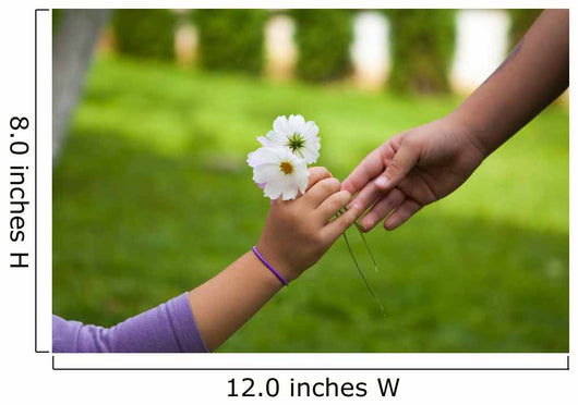 Child's hand giving flowers to her friend Wall Mural