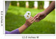 Child's hand giving flowers to her friend Wall Mural