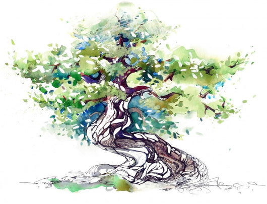 Gnarled Watercolor Tree Wall Decal