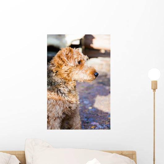 Portrait of dog Wall Mural