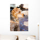 Portrait of dog Wall Mural