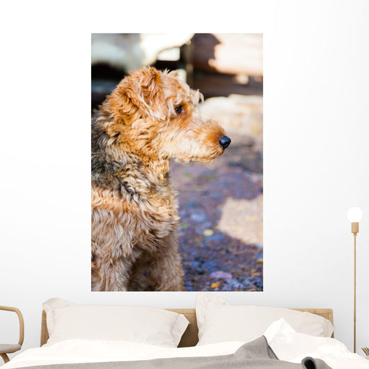 Portrait of dog Wall Mural
