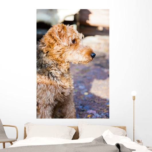 Portrait of dog Wall Mural