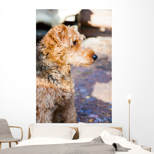 Portrait of dog Wall Mural