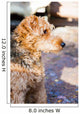 Portrait of dog Wall Mural