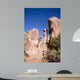 281 Rock Formation Wall Decal