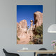 281 Rock Formation Wall Decal