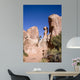 281 Rock Formation Wall Decal