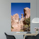281 Rock Formation Wall Decal