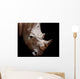 Black rhinoceros Wall Mural