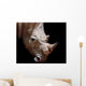 Black rhinoceros Wall Mural