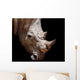 Black rhinoceros Wall Mural
