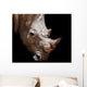 Black rhinoceros Wall Mural