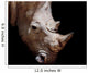 Black rhinoceros Wall Mural