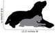 Vector Silhouette of a Dog. Wall Decal