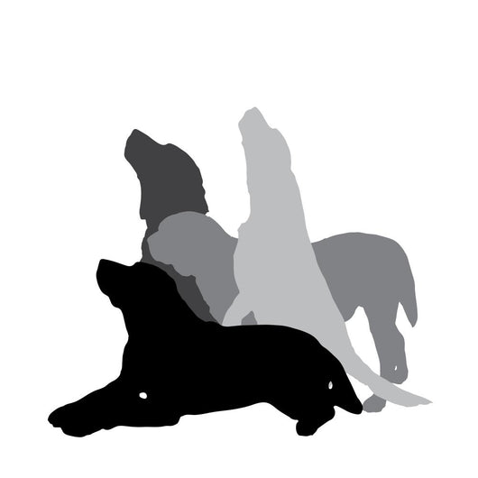 Vector Silhouette Of A Dog. Wall Decal