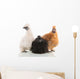 Silkie Chickens Wall Decal