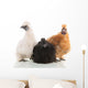 Silkie Chickens Wall Decal