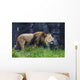 Roaring Lion Wall Decal