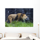 Roaring Lion Wall Decal