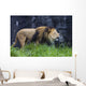 Roaring Lion Wall Decal