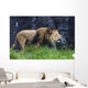 Roaring Lion Wall Decal