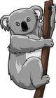 Koala Wall Decal