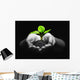 plant in hands Wall Mural