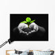 plant in hands Wall Mural
