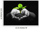 plant in hands Wall Mural
