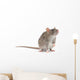 rat Wall Decal