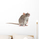 rat Wall Decal