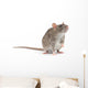 rat Wall Decal