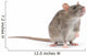rat Wall Decal