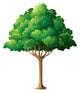 Tree Wall Decal