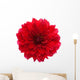 Close-up Red Dahlia Wall Decal