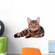 Portrait Brown-eyed Cat White Wall Decal