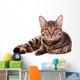 Portrait Brown-eyed Cat White Wall Decal
