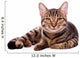 Portrait Brown-eyed Cat White Wall Decal