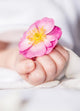 Babyhand Blume Wall Decal