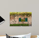 Windows and Doors Tuscan Wall Decal