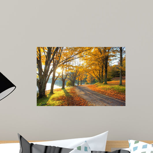 Lake Pathway with Yellow Wall Decal