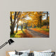 Lake Pathway with Yellow Wall Decal